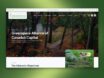 Custom Web Design & AI Automation: Greenspace Alliance Success