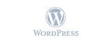 Wordpress Website Installation