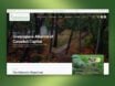 Custom Web Design & AI Automation: Greenspace Alliance Success